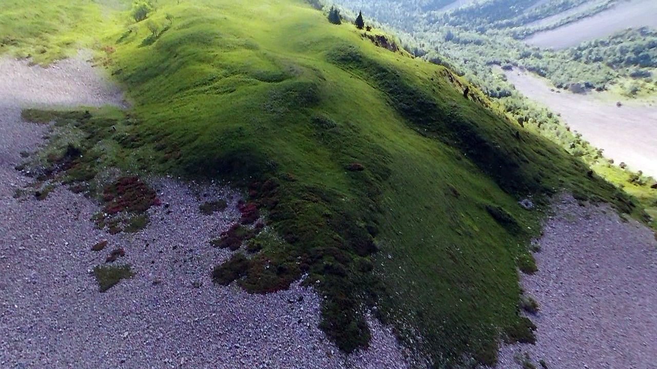 Les  petits chamois 2017