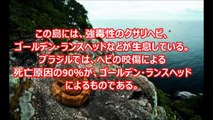 【閲覧注意】恐怖！ヘビ関する怖い雑学【知らないほうがよ