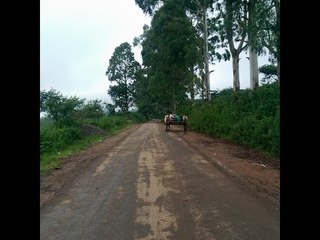 TASTY TRIP_ ဓႏုတို႔ေျမ