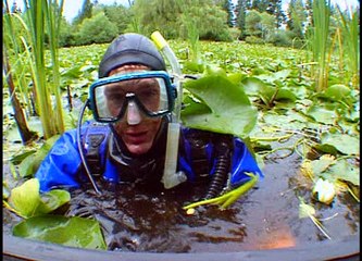 Bill Nye, The Science Guy - S 4 E 13 Amphibians