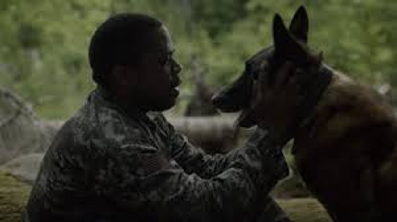 The Mist s01e1 ['Pilot'] Full HD  (Season 1 Episode 1) DOWNLOAD