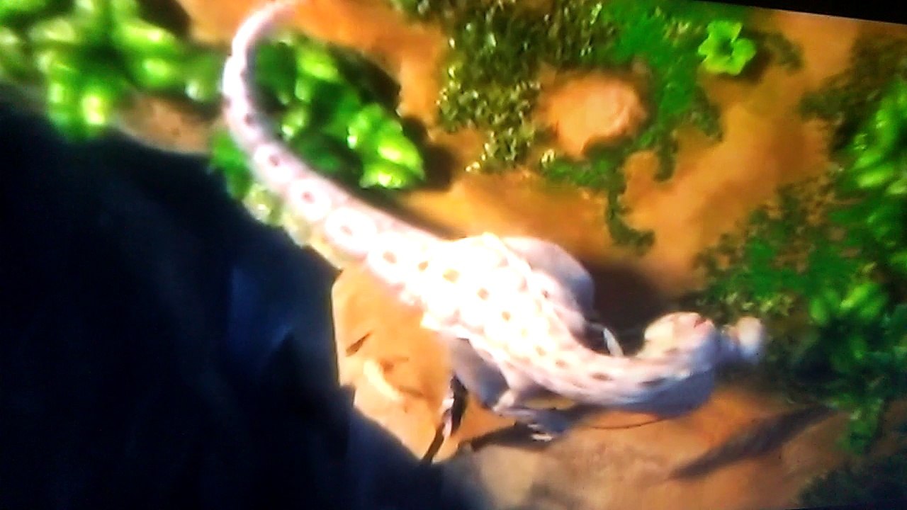 Era de hielo