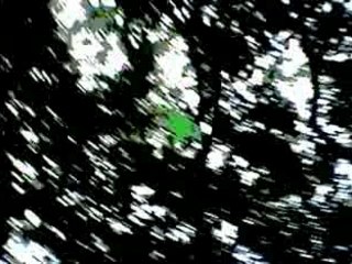 Not a pound in our flat