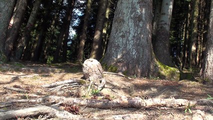 Le marxisme 3 Réflexions à partir de l'ouvrage de Mr Van Overbergh