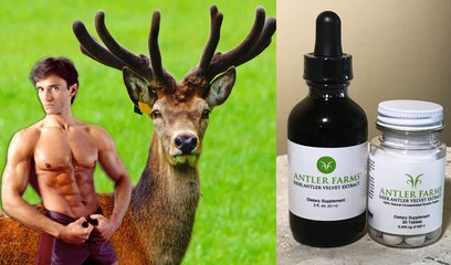 DEER ANTLER VELVET SPRAY FOR FITNESS | Fit Now with Basedow