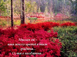 Необикновена среща