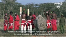 Kenya's Maasai Warriors bat to save rhinos