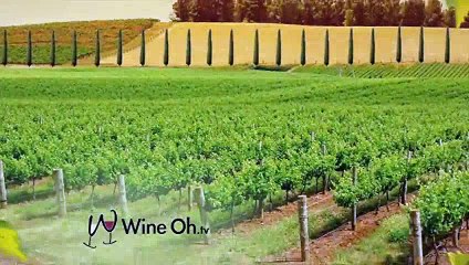 Master SOMM Ian Cauble Picks Best Pinot Noir in the World