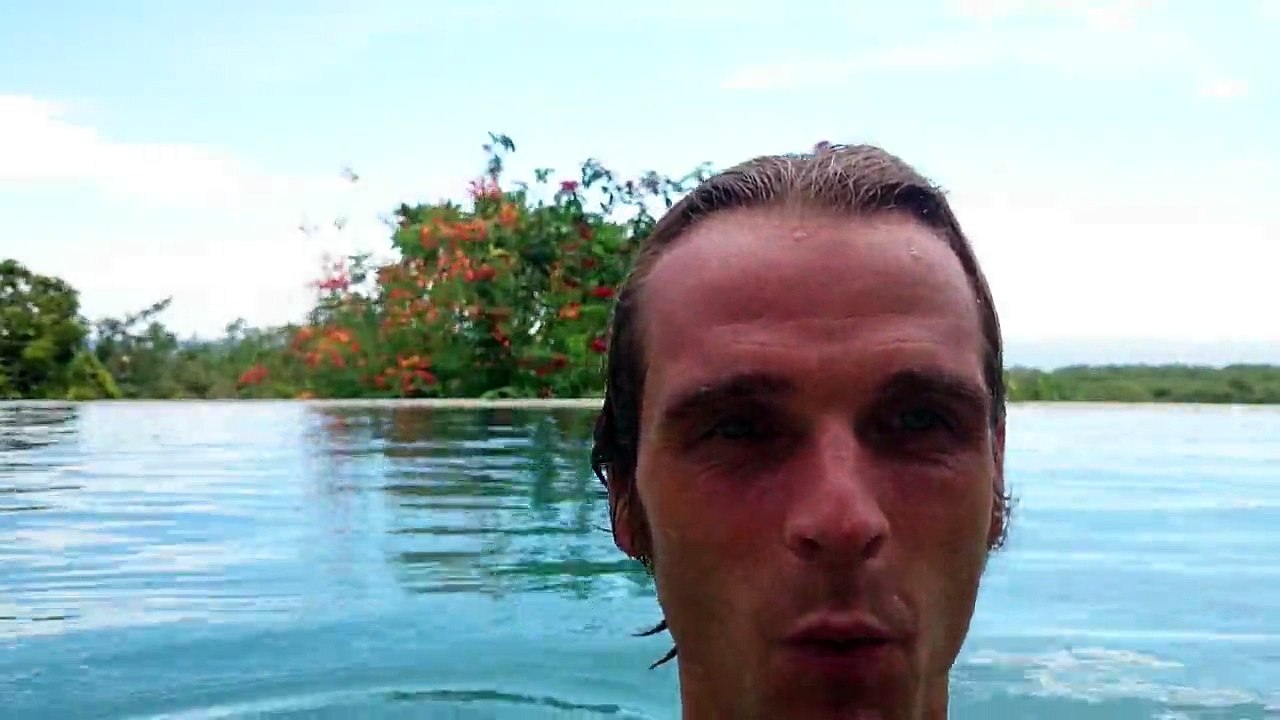 Never Give Up -  Tips from the Jungle