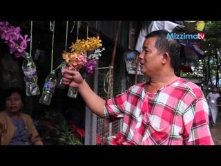 စီးပြားျဖစ္သစ္ခြစိုုက္ပ်ိဳးေရး (Part_2)