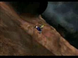 Dragon Ball Z tenkaichi 3 intro