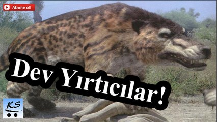 Eski Dünyada Yaşamış En Tehlikeli 10 Yırtıcı