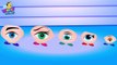 Crazy Eyes Finger Family _ Funny Finger Family Nursery Rhymes &