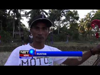 Lomba Layang-layang di Bone Sulawesi Selatan - NET12