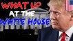 What Up at the White House recap: Trump getting investigated for obstruction for b-day - TomoNews