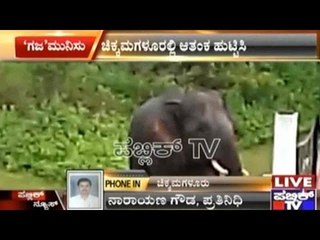 Chikmagalur: Wild Lone Elephant Enters School