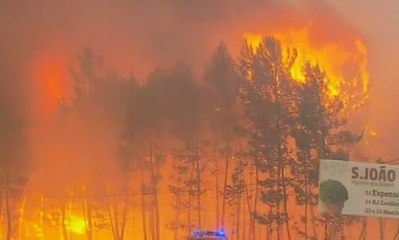 Kebakaran Hutan Terbesar di Portugal, 62 Orang Tewas