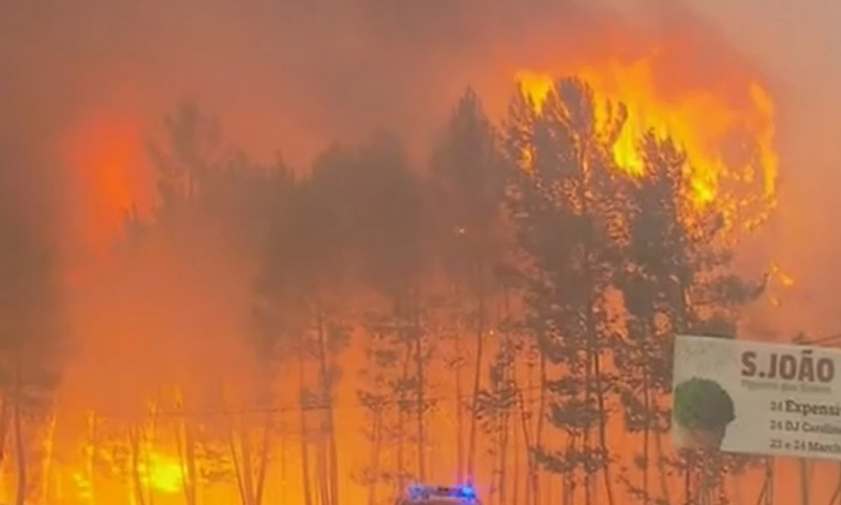 Kebakaran Hutan Terbesar di Portugal, 62 Orang Tewas