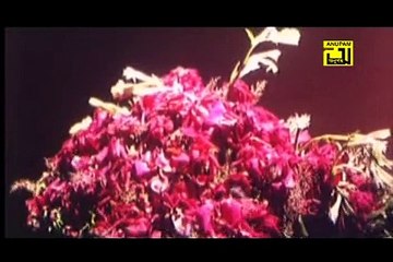 Sujoni-Androkisor (2)_Bangla Songs_For Iphone