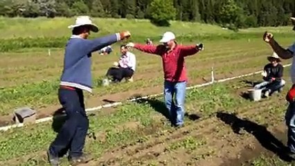 Fidan İşçileri Yorgunluk Atıyor