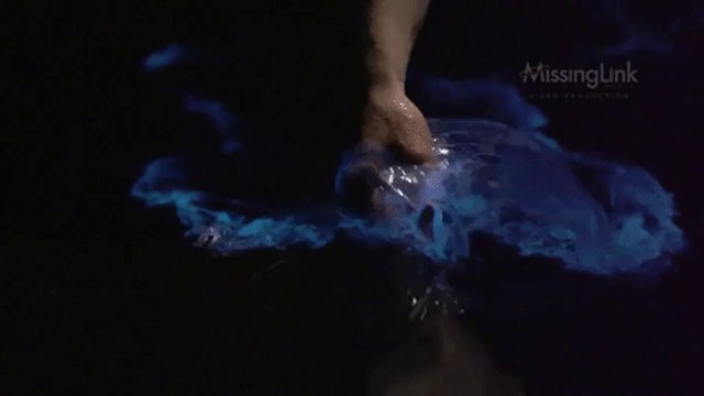 Bloom of Bioluminescent Algae Stuns Beachside Residents in South Australia