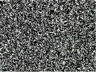 Naruto flash || Neji