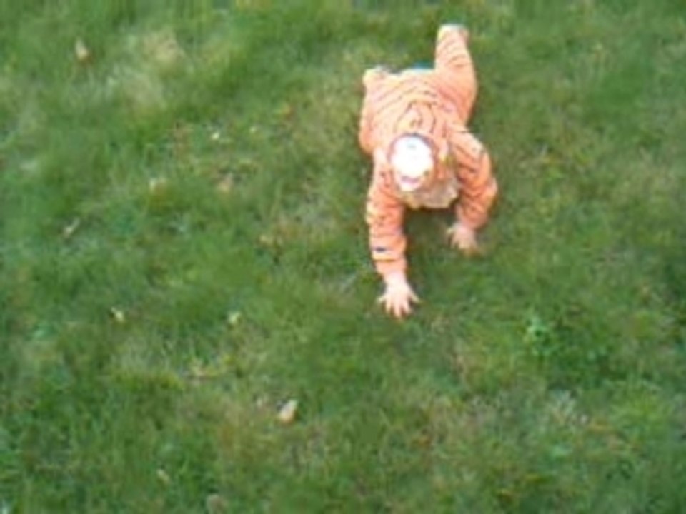 le tigre et le dompteur