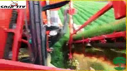 Công nghệ thu hoạch cà rốt bằng máy nông nghiệp