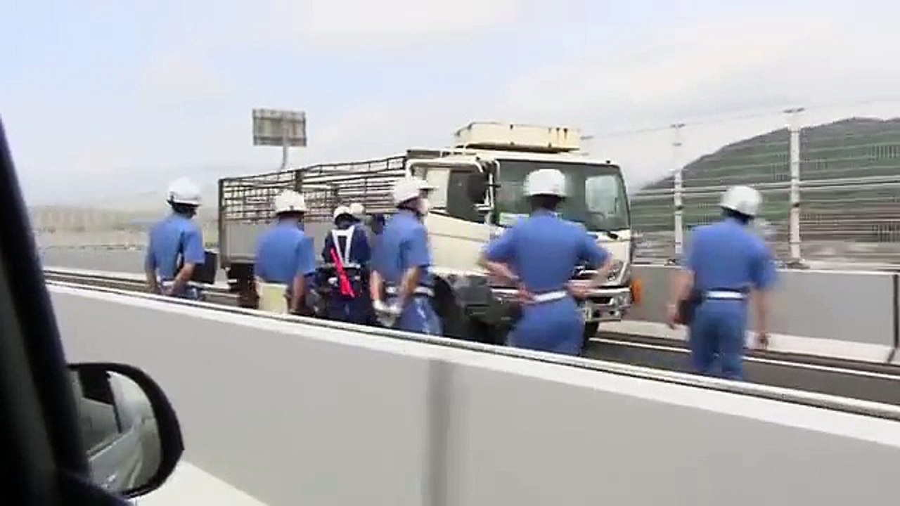 Pendant 5 heures des porcs échappés d’un camion sèment la pagaille sur l’autoroute