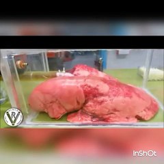 Fast ans Effectively Why How To Stop Smoking