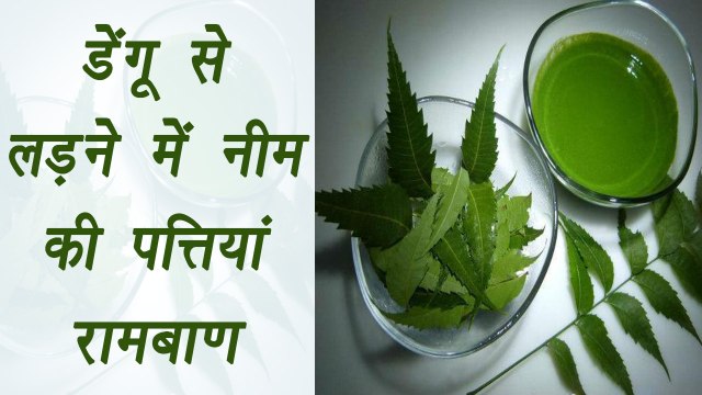 Neem leaves to prevent Dengue in Monsoon; 5 Ways | डेंगू से बचने में नीम की पत्तियों का यूं करें प्रयोग | Boldsky