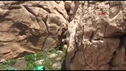 Herekol Dağı'nda Çatışma; 2 Terörist Ölü, 6 Terörist Teslim