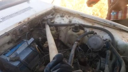 Otomobiline Giren Yılanı Yere Vurarak Öldürdü!