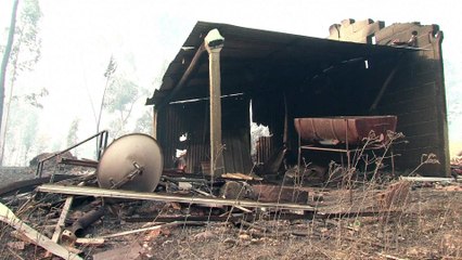 Portugal: gigantesque incendie de forêt, 57 morts