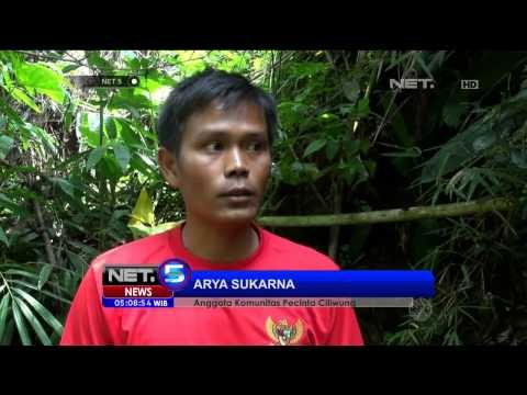 Waspada banjir pelajar di Bogor gelar aksi bersih bersih hulu sungai - NET5