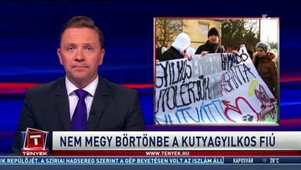 Nem megy börtönbe a kutyagyilkos fiú