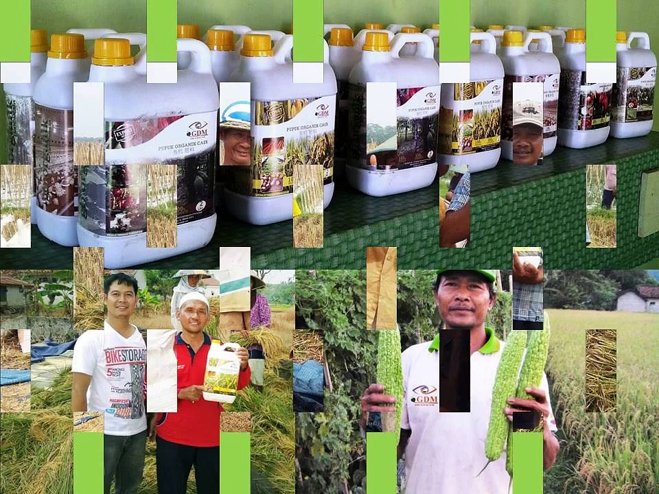 0812-2400-2400 (TSEL ),Obat Buah Naga