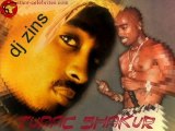 Remix tupac let em have it(feat SKG!!) dj zins