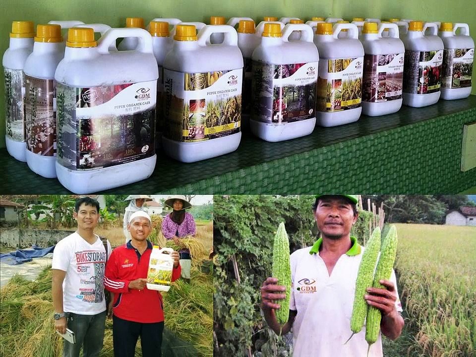 0812-2400-2400 (TSEL ),Obat Tanaman Jeruk