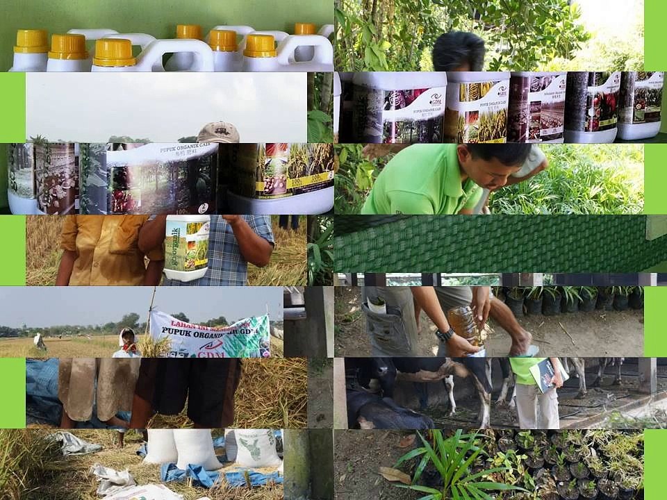 0812-2400-2400 (TSEL ),Obat Tanaman Cengkeh
