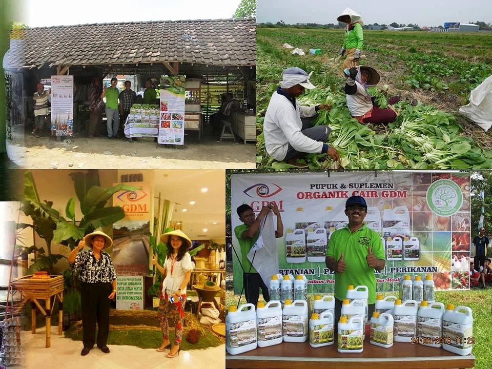 0812-2400-2400 (TSEL ),Obat Tanaman Kopi