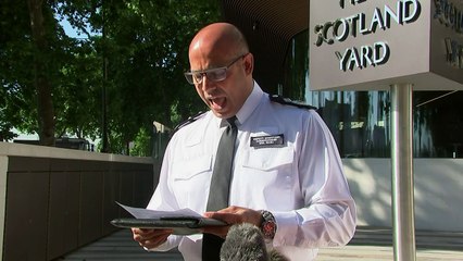 London mosque attack had 'all the hallmarks of terrorism'