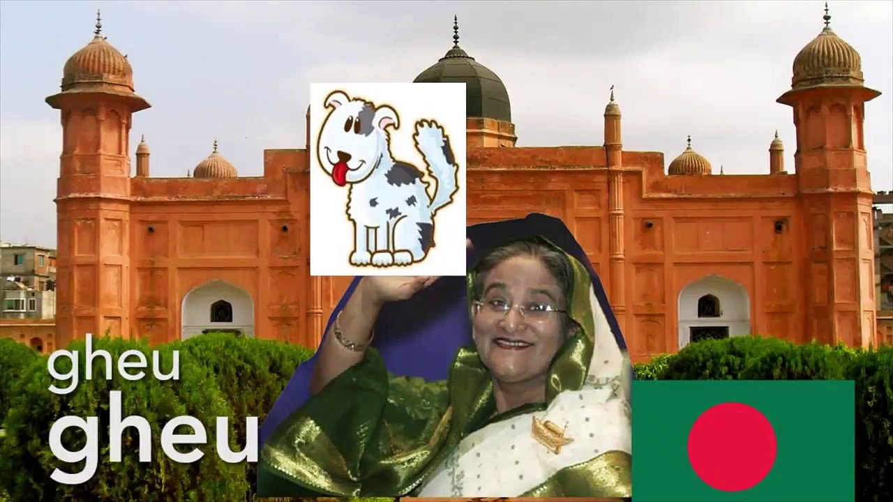 Neden herkes farklı şekilde daire çiziyor