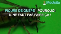 Piqûre de guêpe : pourquoi il ne faut pas faire ça !