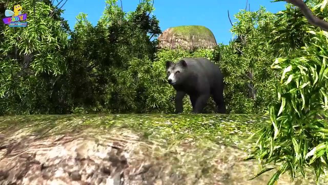 Finger Family Bear Family Rhymes _ Animals Cartoon Finger Family Rhymes for Children