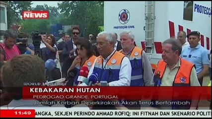 Puluhan Orang Tewas Akibat Kebakaran Hutan di Portugal