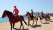 Randonnée équestre : à cheval sur les plages d'Ajaccio