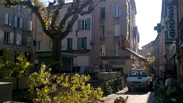 Crest : l’abattage des 6 platanes a commencé