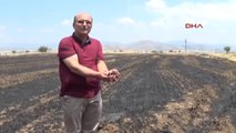 Gaziantep Islahiye'de 80 Dönüm Ekili Buğday Yandı