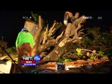 Pohon Tumbang Menimpa 3 Rumah di Jakarta - NET24